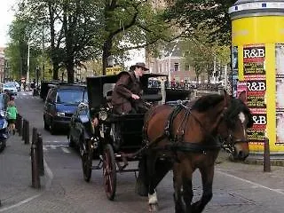 B&B La Festa Ámsterdam 3*,  Países Bajos